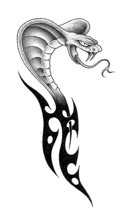 cobra-snake